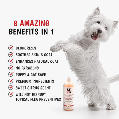 Warren London Neem Oil with Oatmeal Dog Shampoo - Hypoallergenic, Moisturizing & Itch Relief Formula - Gentle on Skin & Coat - Made in USA - 1 Gallon
