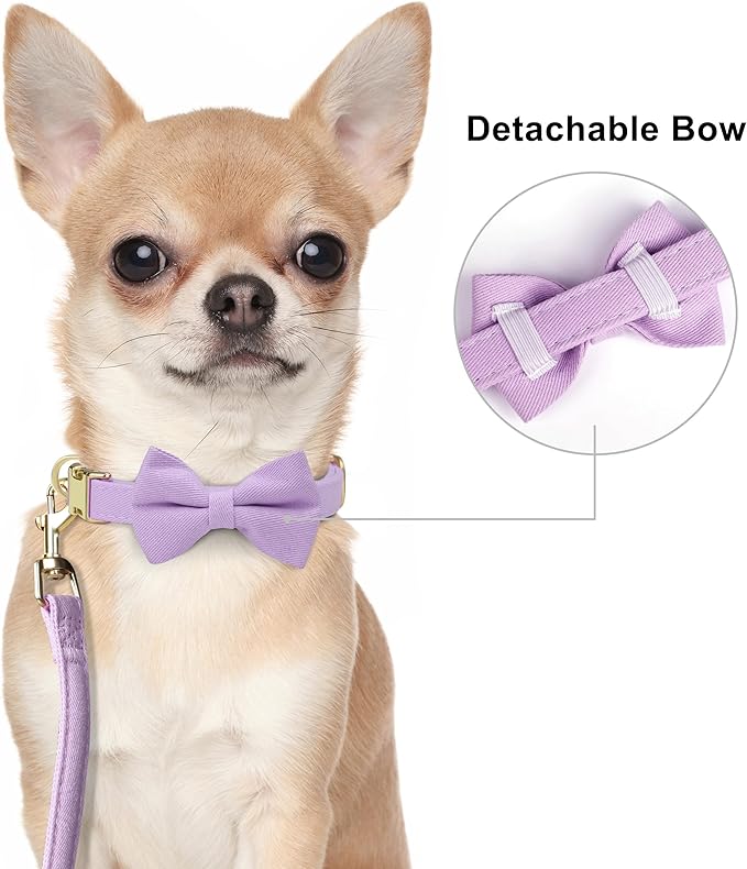 Beirui Adorable Small Dog Harness Collar and Leash Set,Cute XXS Puppy Harness Set with 3 Bows for Tiny Dogs,Chihuahua,Adjustable Step-in Vest for Daily Walking,Parties&Holiday Outfits(Purple,XXS)