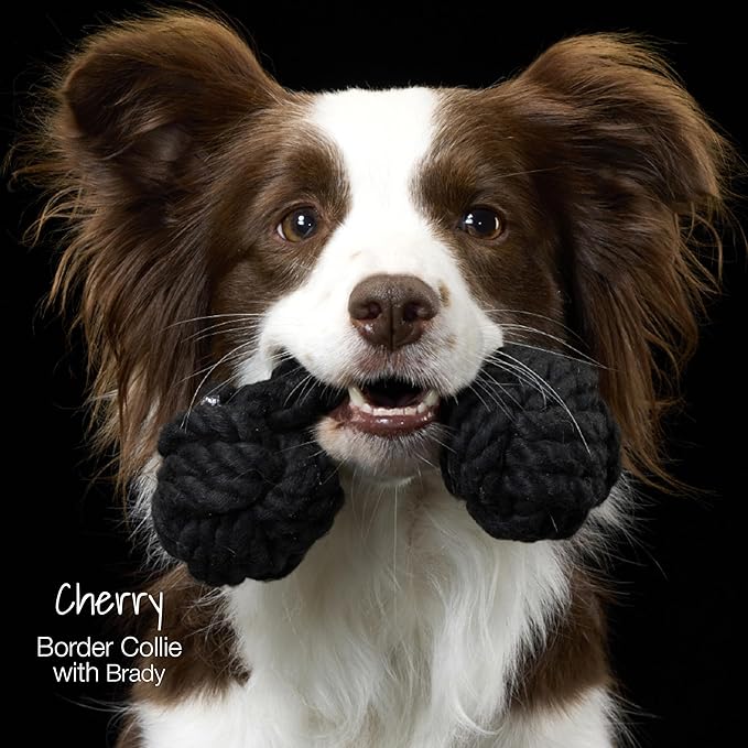 Brady The Rope Tug Toy 3-Pack Organic Cotton Dog Rope Pull Toys for All Pet Breeds, Pink Salt, One Size