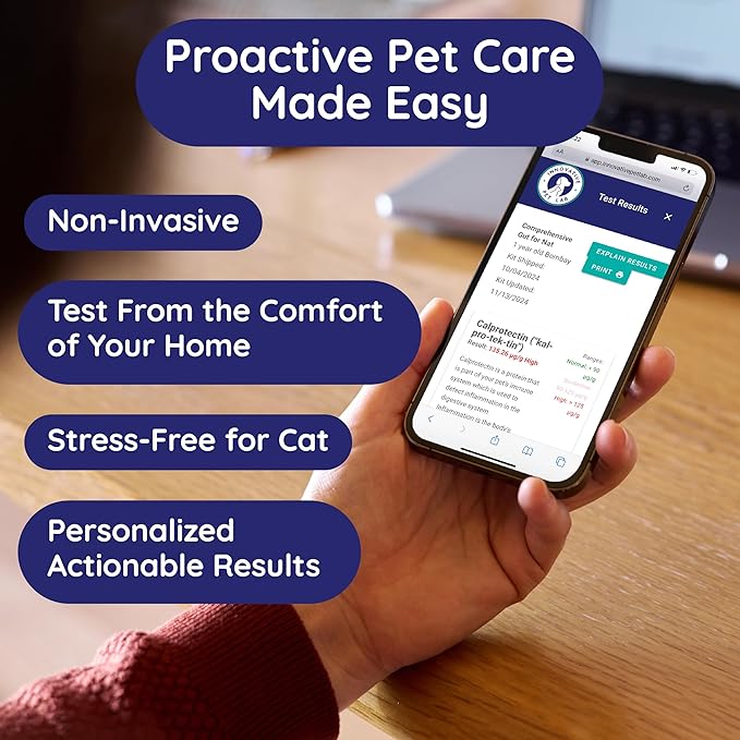 Innovative Pet Lab Comprehensive Gut Health Test Kit for Cats - at-Home Cat Stool Test for Immune & Gluten Sensitivity Symptoms Like Diarrhea, Vomiting, Itchy Skin - Easy Non-Invasive Testing Kit
