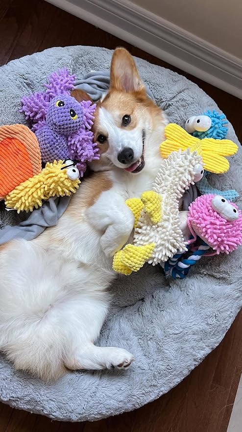 Nocciola 5 Packs Squeaky Dog Toy Plushies, Cute Soft Squeak Crinkle Plush Stuffed Durable Pet Animal Chew Puppy Toys for Small Meidum Large Breed