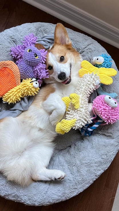 Nocciola 5 Packs Squeaky Dog Toy Plushies, Cute Soft Squeak Crinkle Plush Stuffed Durable Pet Animal Chew Puppy Toys for Small Meidum Large Breed