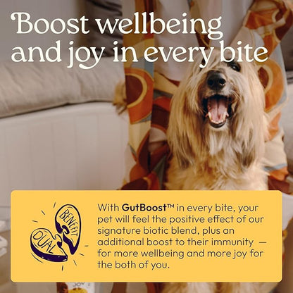 New! WellJoy Dog Supplement Immune+ GutBoost | Dog Health Supplement | Enhances Immune Response | Dual-Benefit GutBoost Formulation | Vet Formulated | Made in USA | Chicken Flavor | 90 Soft Chews