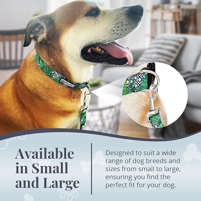 Lucky Love Dog Leash – Soft, Durable, and Comfortable Leash with Vibrant Patterns – Stylish and Long Lasting for Large Male and Female Dogs – Laguna, Large