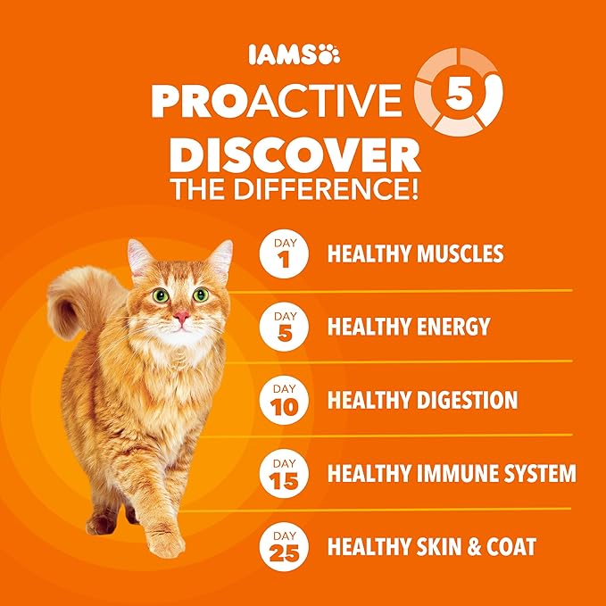IAMS Proactive Health Healthy Adult Dry Cat Food with Real Salmon, 22 lb. Bag