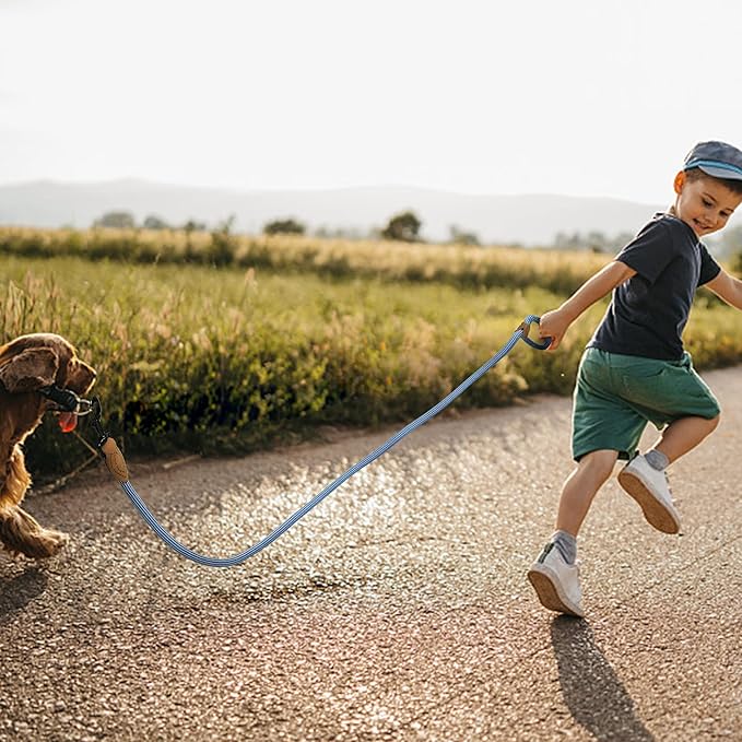 Mile High Life Rope Leash with Genuine Leather Connection, 6 FT/5 FT/4 FT, Heavy Duty Leash for Medium & Large Dogs (Blue White, 48 Inch)