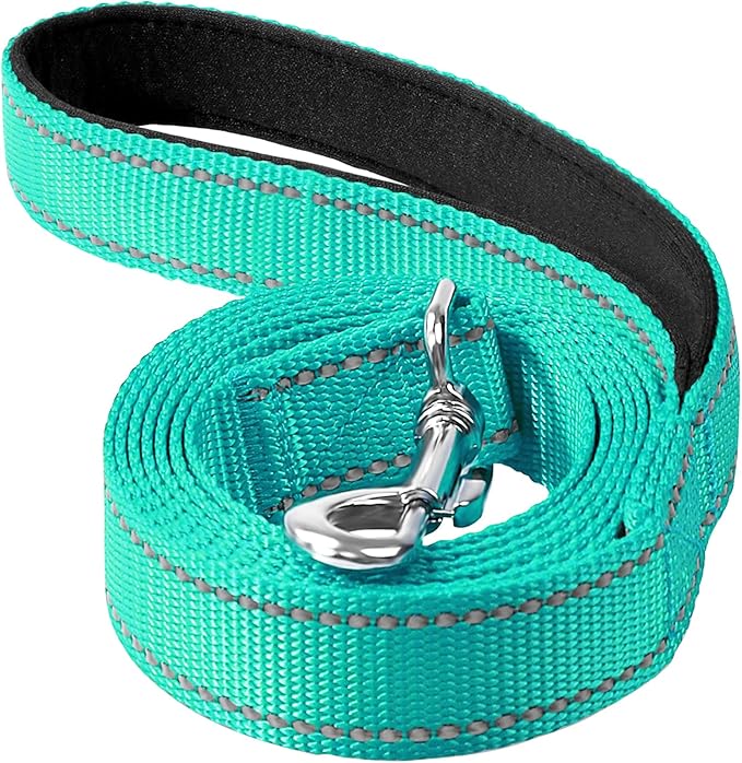 4FT Reflective Nylon Dog Leash with Soft Padded Handle for Walking, Running and Training, Supports Small Medium and Large Dogs (Turquoise, 1 Inch Wide)