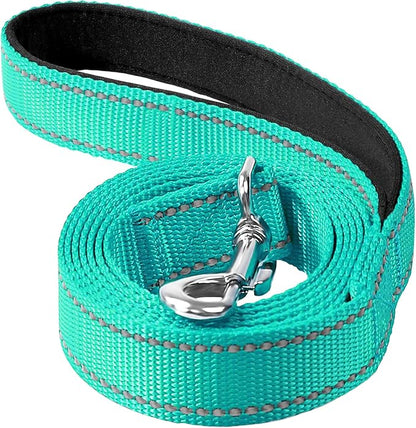 4FT Reflective Nylon Dog Leash with Soft Padded Handle for Walking, Running and Training, Supports Small Medium and Large Dogs (Turquoise, 1 Inch Wide)