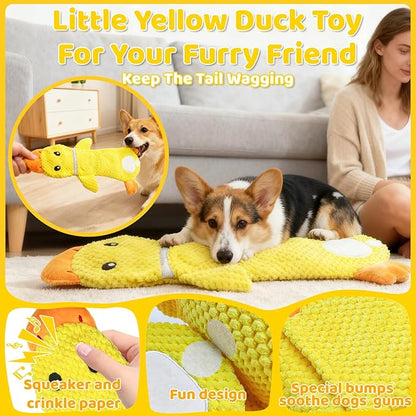 2 Pack Dog Toys for Small Dogs, Interactive Puzzle Toys,Squeaky & Crinkly, Stuffing-Free with Treat Pockets and a Water Bottle Pocket, Ideal for Puppy Small Pet Dogs