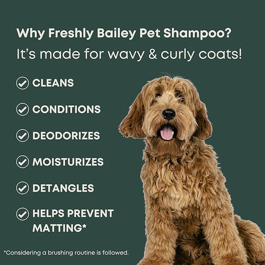 Doodle Shampoo and Conditioner - Best Dog Shampoo for Goldendoodle, Poodles, Doodle Breeds - for Curly & Wavy Coats - Natural Ingredients - Made in USA 16 Fl Oz