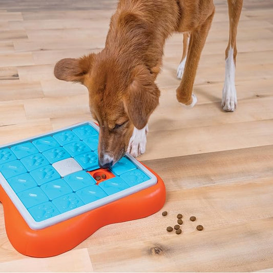 Outward Hound by Nina Ottosson Challenge Slider – Interactive Dog Treat Puzzle Enrichment Toy, Level 3 Advanced