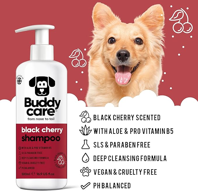 Black Cherry Dog Shampoo by Buddycare | Deep Cleansing Shampoo for Dogs | Black Cherry Scented | with Aloe Vera and Pro Vitamin B5 (50.72oz)