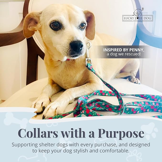 Lucky Love Dog - Adjustable Dog Collar with Easy Click Buckle for Small Dogs, Durable, & Comfortable for Male & Female Dogs, Pet Collar for Puppies & Adult Ones - Penny, XS