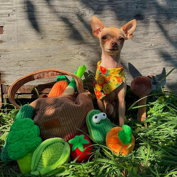 Nocciola Squeaky Fruits Veggies Stuffed Dog Toys Pack- Hide Seek Grocery Basket Crinkle Plush Puppy Toys to Keep Busy, Birthday Pet Supplies Gifts for Small Medium Breeds