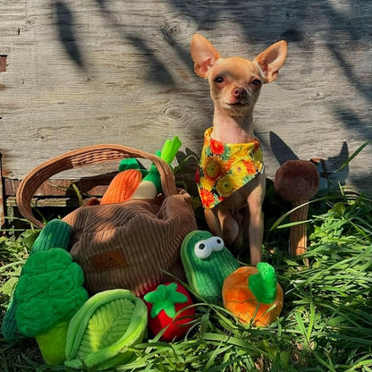 Nocciola Squeaky Fruits Veggies Stuffed Dog Toys Pack- Hide Seek Grocery Basket Crinkle Plush Puppy Toys to Keep Busy, Birthday Pet Supplies Gifts for Small Medium Breeds