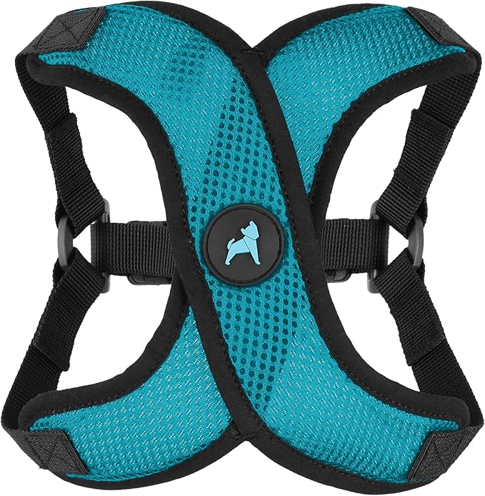 Gooby Comfort X Step in Lite Dog Harness - Choke Free, Escape Free with Light Breathable Mesh - Step in Dog Harness for Small Dogs Only - Quick Release Buckle, Metal D-Rings - Turquoise, X-Small