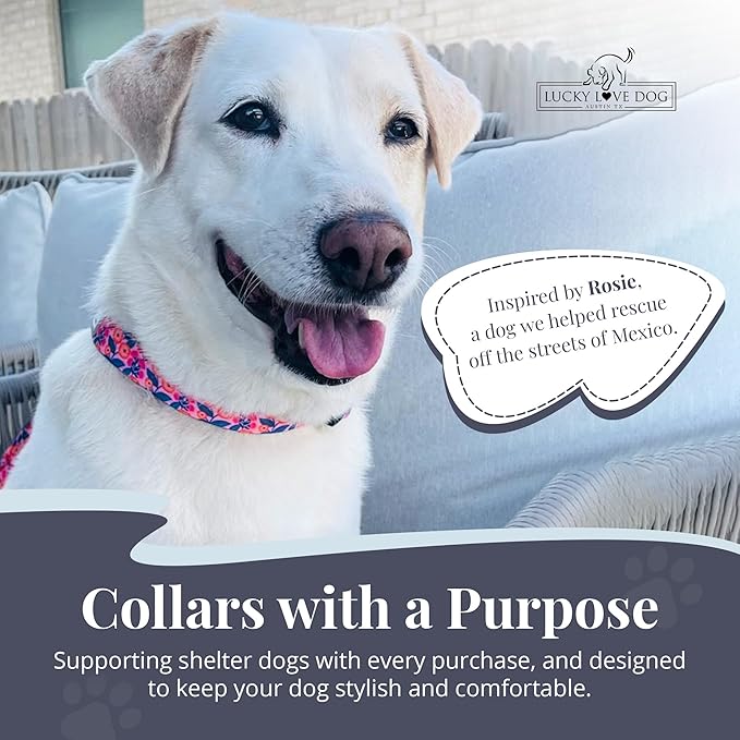 Lucky Love Dog - Adjustable Dog Collar with Easy Click Buckle for Small Ones, Durable, & Comfortable for Male & Female Dogs, Pet Collar for Puppies & Adult Dogs - Rosie, XS