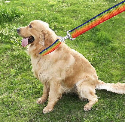 TAIAN 4FT/5FT/6FT Strong Dog Leash, Nylon Dog Leashes for Small Medium Large Dogs (5/8 in x 5 ft, Rainbow)