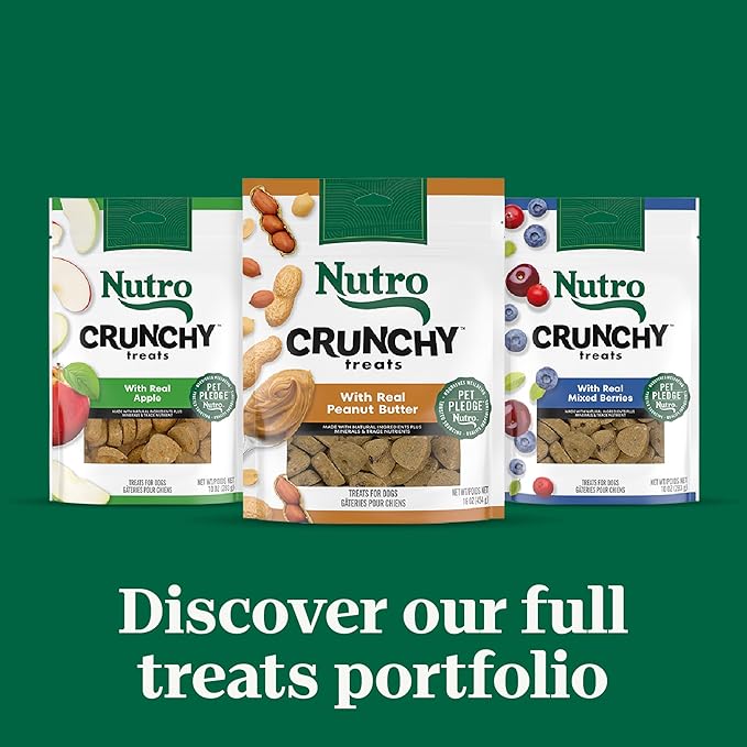 Nutro Crunchy Dog Treats with Real Apple, 16 oz. Bag