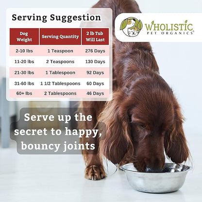 Wholistic Pet Organics - Hip and Joint Supplement for Dogs & Cats - Cat & Dog Joint Supplement - Green Lipped Mussels, Glucosamine, Chondroitin for Dogs & Cat Mobility Support - 2 Lb - 90 Scoops