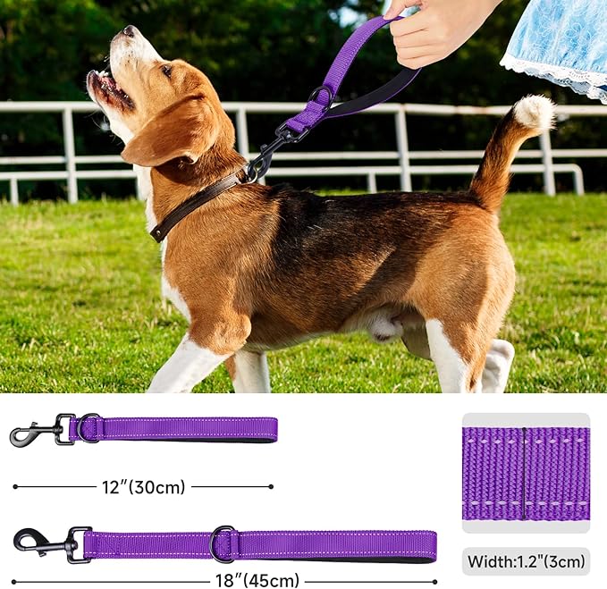 Dog Leash, Short Dog Leash, Leashes for Large Breed Dogs,Traffic Padded Handle- Reflective Training Lead, Perfect for Medium to Large Dogs(12 Inch, Purple)
