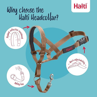 Halti Headcollar - Stop Your Dog Pulling on The Leash. Adjustable, Reflective and Lightweight, with Padded Nose Band. Dog Training Anti-Pull Collar for Small Dogs (Size 1, Desert Sand)