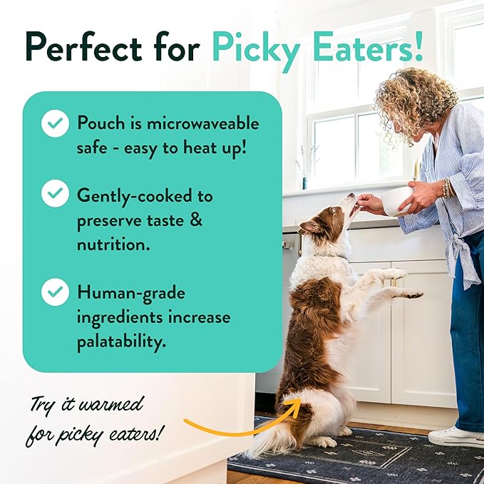 Portland Pet Food Company Fresh Dog Food Pouches - Human-Grade Topper Mix-Ins & Wet Pet Meals - Small & Large Breed Puppy & Senior Dogs - Gluten-Free Limited Ingredient Meal Toppers - 5 Pack Variety