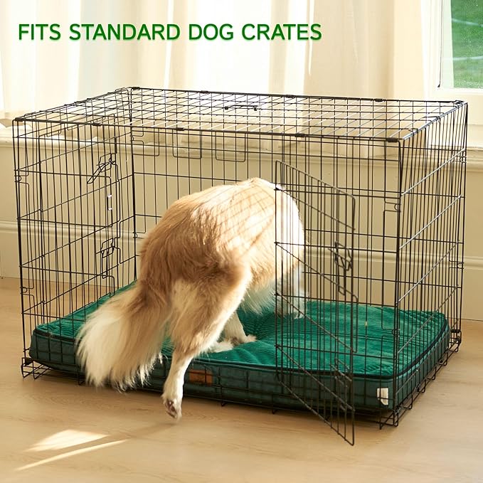 LIORCE Memory Foam XL Dog Bed - 4” Thick Orthopedic Beds for Extra Large Dogs - Waterproof Dog Bed with Removable Washable Cover & Wrap-Around Zipper - Ultimate Comfort and Easy Maintenance, Green