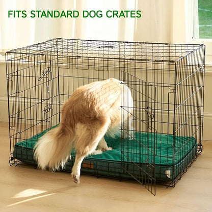 LIORCE Memory Foam XL Dog Bed - 4” Thick Orthopedic Beds for Extra Large Dogs - Waterproof Dog Bed with Removable Washable Cover & Wrap-Around Zipper - Ultimate Comfort and Easy Maintenance, Green