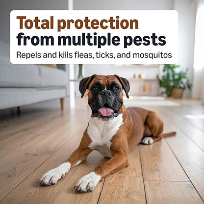 Amazon Basics Preventative Flea, Tick & Mosquito Topical Treatment for Large Dogs (21-55 Pounds), 4 Count, Packaging May Vary