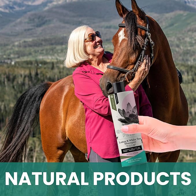 Gou Gou Pets Holistic Natural Derived Lotus and White Tea Pet Shampoo: Veterinarian Recommended - Remove Dirt, Cleanse and Restore Your Dog, Cat or Horse Coat - Made in USA - 16 oz