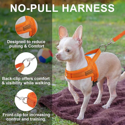 BEAUTYZOO Dog Harness for Small Dogs, No Pull Dog Harness and Leash Set, Soft Escape Proof Puppy Vest Harness with Handle, Reflective Lightweight Step in Harness for Girl Boy Dogs, Orange XS