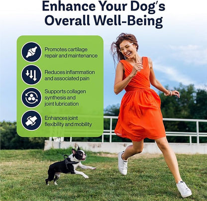 LVL Up Pup Dog Joint Supplement for Senior Dogs – Hip & Joint Supplement for Dogs with Glucosamine, Chondroitin, MSM – Dog Supplement for Large Breed – Joint Health Chews