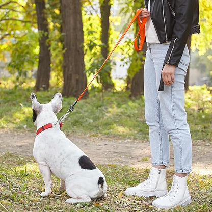 Dogline Biothane Waterproof Dog Leash Strong Coated Nylon Webbing with Black Hardware Odor-Proof Easy to Clean High Performance for Small or Large Dogs Made in USA 4 or 6 ft Lead, Hunter Orange