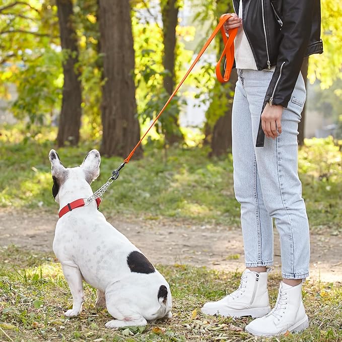 Dogline Biothane Waterproof Dog Leash Strong Coated Nylon Webbing with Black Hardware Odor-Proof Easy to Clean High Performance for Small or Large Dogs Made in USA 2 ft Lead, Hunter Orange