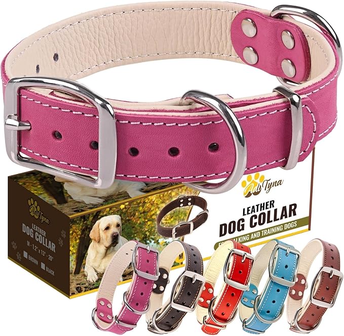 ADITYNA Heavy-Duty Pink Leather Dog Collar for Medium Dogs - Lined with Soft Leather - Girl Dog Collar for Walking, Training, and Hiking
