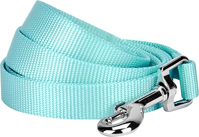 Blueberry Pet Essentials Mint Blue Dog Leash for Small -5' * 5/8" Dogs | Heavy Duty Nylon Lead | Lightweight Puppy & Cat Leash for Walking & Training