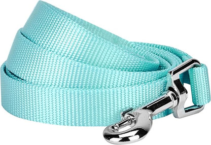 Blueberry Pet Essentials Mint Blue Dog Leash for Small -5' * 5/8" Dogs | Heavy Duty Nylon Lead | Lightweight Puppy & Cat Leash for Walking & Training