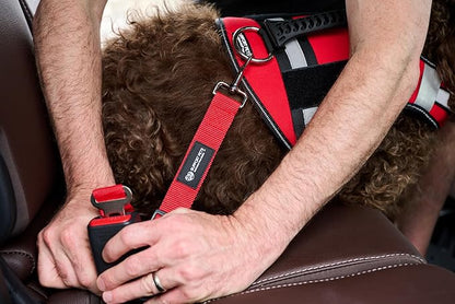 Support Pets Dog Seat Belt for Car – Adjustable Dog Safety Seatbelt Harness for Dogs & Puppies – Vehicle Seatbelt Clip for Secure Pet Travel – Durable Dog Accessories & Travel Restraint – Red 1 Pack