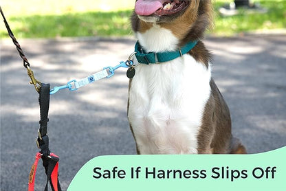 Gentle Creatures Collar Companion - Reinforced, Waterproof Poly Backup Clip for Dog Harness, Prong, Pinch Collars, Gentle Lead - Double Ended Swivel Clips - Harness to Collar Safety Clip, Clasp