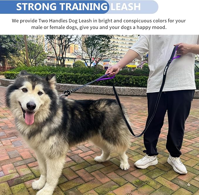 Strong Heavy Duty Dog Leash - 6ft Reflective Nylon Training Leash with Soft Padded Double Handle & Auto Lock Frog Clip - Safety Traffic Control for Large Medium Small Dogs No Pull Walk BlackPurple,6ft