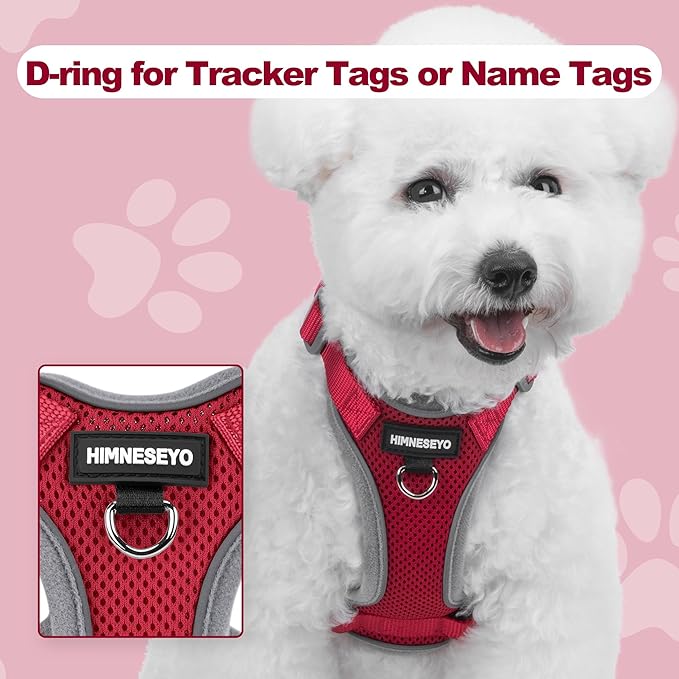 Small Dog Harness and Leash Set，No Pull Adjustable Pet Harness for Small Dogs ，Breathable Mesh Reflective Dog Vest Harness (Red, XXS)