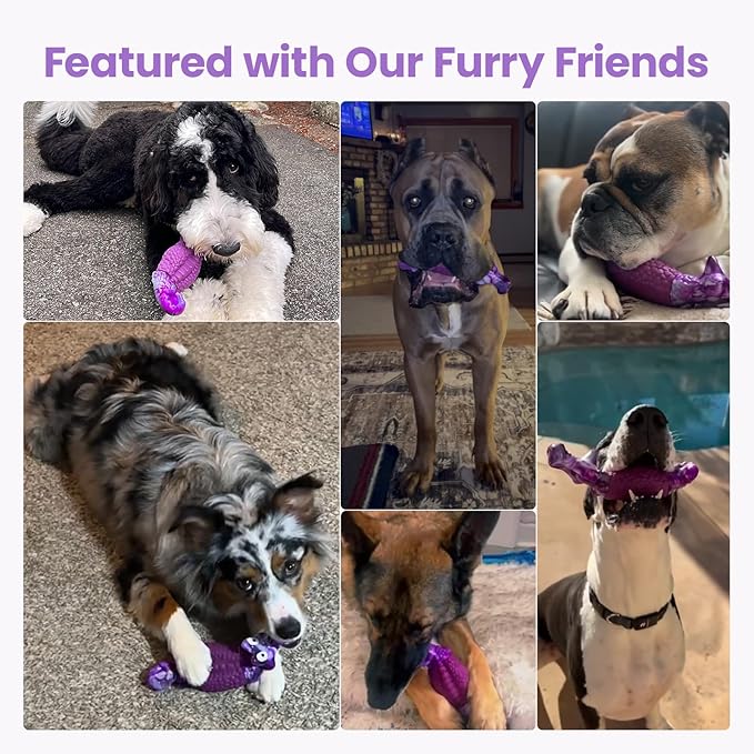 HGB Tough Dog Chew Toys for Aggressive Chewers, Squeaky Indestructible Dog Toy for Large Dogs to Keep Them Busy & Reduce Boredom for Small, Medium, Large Breed, Bacon Flavor