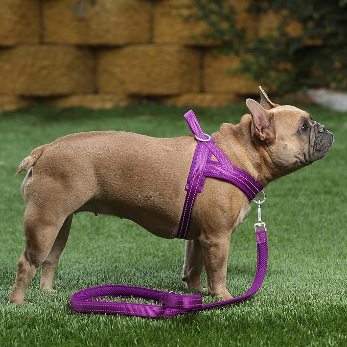 Plutus Pet No Pull Dog Harness with Breathable Mesh Padded, Adjustable Reflective Escape Proof Dog Harness, Quick Fit Dog Vest Harness for Small Medium Large Dogs(M, Purple)