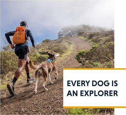 Ruffwear, Hi & Light, Everyday Lightweight Dog Harness, Trail Running, Walking, Hiking, All-Day Wear, Sockeye Red, XXX-Small