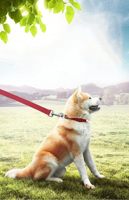 PETGOGO 15ft 20ft 30ft 40ft 50ft Long Dog/Puppy Lead Obedience Recall Training Dog Leashes for Small Medium Dogs Camping, Training, Play, or Backyard (Orange, 1" x 50FT)