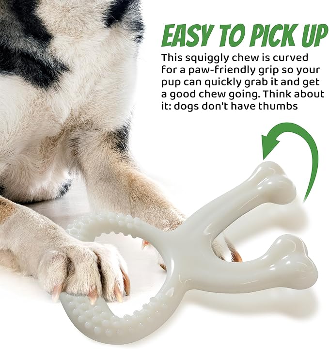 IPTPAS Durable Dog Chew Toy for Aggressive Chewers, Indestructible Nylon Bone Dental Care Teeth Cleaning Chew Toy for Small, Medium and Large Dogs, Keep Them Busy, Irresistible Beef Flavor (White)