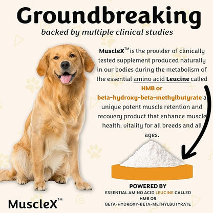 MuscleX™ Canine Muscle Formula Dogs with CaHMB 500 mg and Vitamin D3 - Natural Muscl Building Formula - Helps Reduce Muscle Loss Due to Normal Aging and Improves Recovery from Injury (90 Capsules)