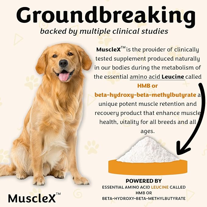 MuscleX™ Canine Muscle Formula Cats & Small Dogs with 300 mg CaHMB & Vitamin D3 - Natural Muscl Building Formula-Helps Reduce Muscle Loss Due to Normal Aging & Improves Recovery from Injury(180 Caps)