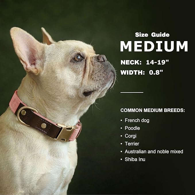 Didog Soft PU Leather Dog Collars for Medium Dogs,Classic Adjustable Dog Collars with Quick Release Metal Buckle,Easy Clean and Comfortable with Nylon Lining,Pink,M Neck 14-19"
